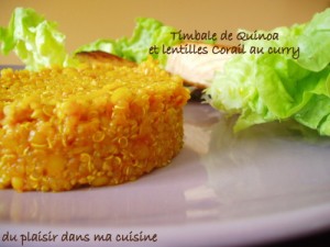 timbale-quinoa-lentille-corail--2-